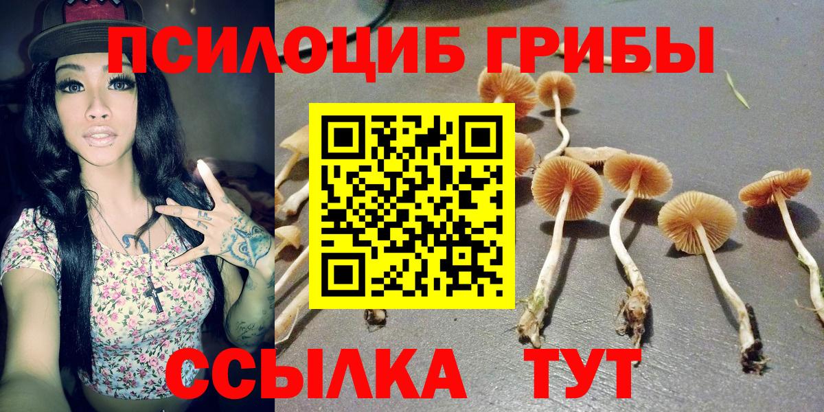 Псилоцибиновые грибы мухоморы Сунжа