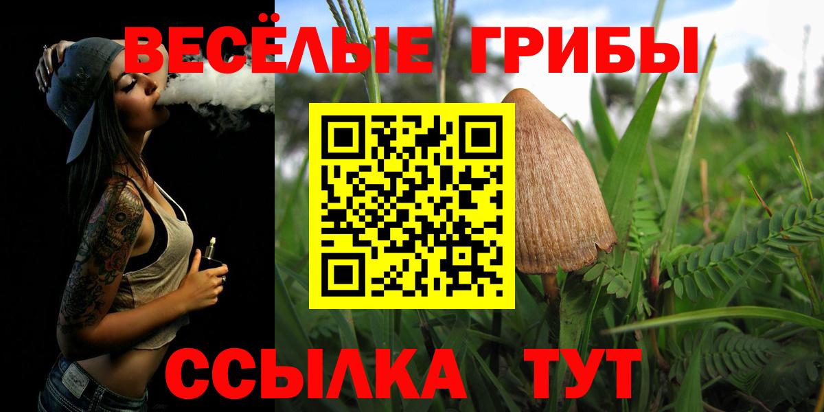 Сунжа  Галлюциногенные грибы прущие грибы  Вход с VPN  Псилоцибиновые грибы Cubensis 